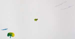 Hans Coumans - Litho - 1971 verkocht voor € 40!