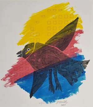 Corneille - vogel kopen? Bied vanaf 335!