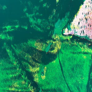 Wilfried Pas - Grote gesigneerde zeefdruk - 8/10 - Kleine oplage! - 1972 - Zelden aangeboden! kopen? Bied vanaf 65!