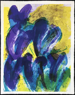 Jan Cremer - Litho, Tulpen kopen? Bied vanaf 80!