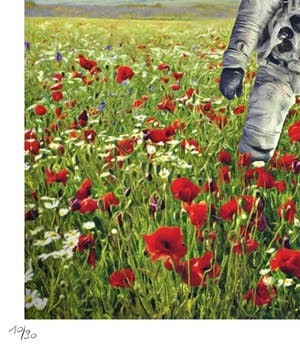 Mr. Strange - Champs de Fleurs sur la planète Terre kopen? Bied vanaf 50!