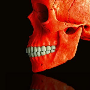 Mr. Strange - Death in Red kopen? Bied vanaf 60!