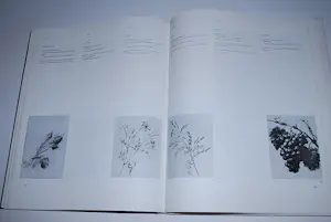 Gerard van Spaendonck - & Cornelis van Spaendonck - oeuvrecatalogus bloemenschilders in Parijs kaufen? Bieten Sie von 50!
