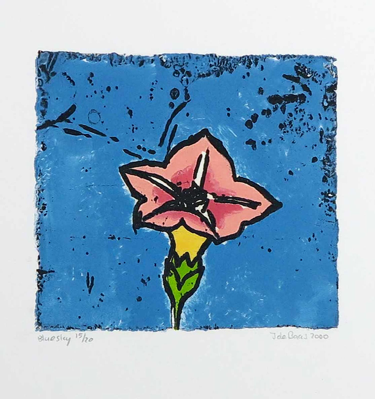 Niet of onleesbaar gesigneerd - Kleurenets, Blueslay kopen? Bied vanaf 1!