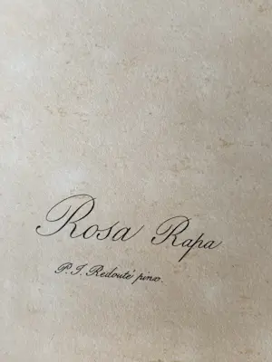 Pierre-Joseph Redoute - Rosa Rafa kopen? Bied vanaf 10!