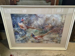 Hendrik Breedveld - C3065-6, Fazantenhanen kopen? Bied vanaf 150!