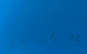 Lothar Quinte - Farbfächer kopen? Bied vanaf 225!