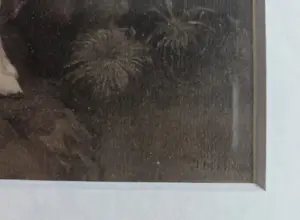 Jan Mankes - Geit. Heliogravure. Ingelijst. kopen? Bied vanaf 129!