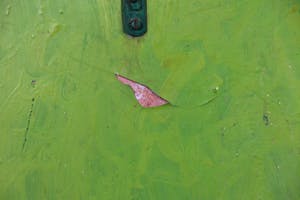 Johan Lennarts - Assemblage, Stilleven kopen? Bied vanaf 100!