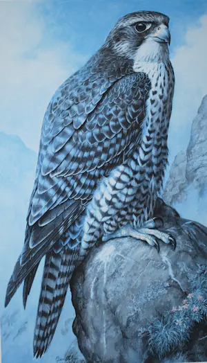 Hendrik Johannes Slijper - Giervalk, Noorwegen 1987 - oplage 350, handgesigneerd - groot - kopen? Bied vanaf 95!