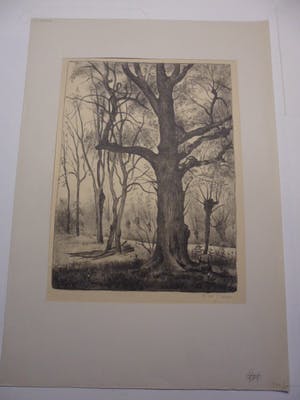 Cor. W Joppe - Litho, zonder titel kopen? Bied vanaf 20!