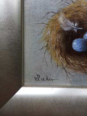 Henk Poeder - Vogelnestje kopen? Bied vanaf 59!