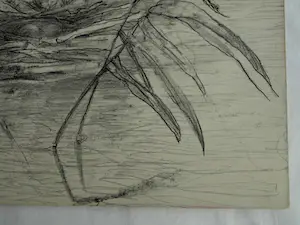 Theo van Hoytema - Litho, Drijvend nest van een dodaars, Texel - 1913 kopen? Bied vanaf 10!