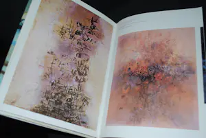 Ai Weiwei - memoires + Zao Wou Ki + 2 anderen Chinese kunst kopen? Bied vanaf 65!