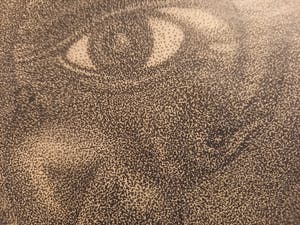 Niet of onleesbaar gesigneerd - oog met jonge vogel kopen? Bied vanaf 1!