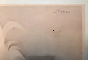 Jan Mankes - Wyandotte haan kopen? Bied vanaf 1!