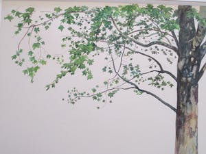 Raymond Mason - Platane - Aquarel kopen? Bied vanaf 400!