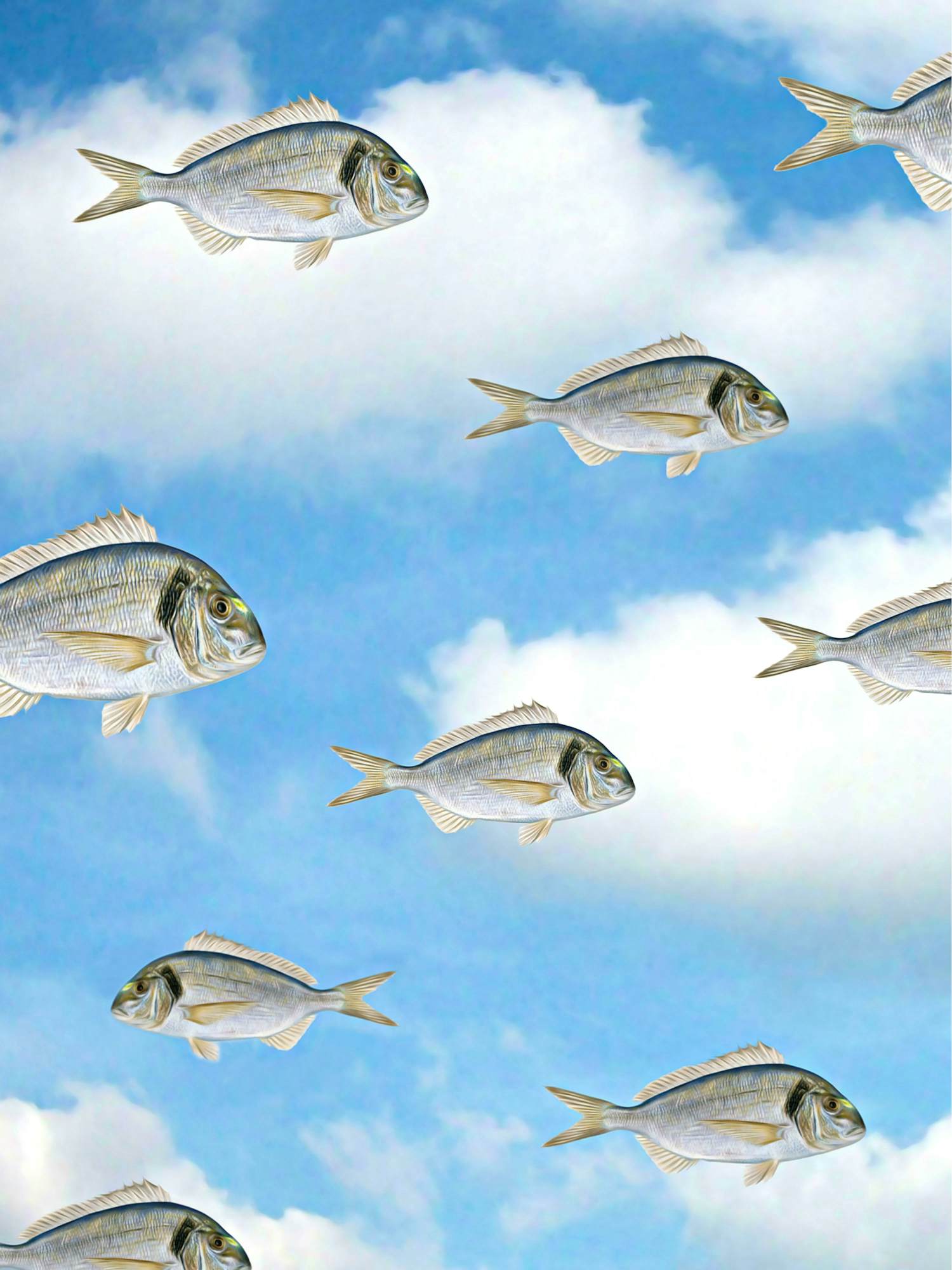 Mr. Strange - Tegen een stroom in verkocht voor € 80!