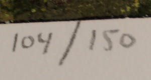 Charlotte Molenkamp - Zeefdruk: Zomer (laatste exemplaar!) kopen? Bied vanaf 99!