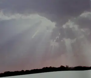 Marlene Dumas - 3 boeken: Suspect/Electa kopen? Bied vanaf 79!