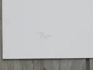 Ardi Brouwer - Schuren en silo - Kleurenlitho kopen? Bied vanaf 50!