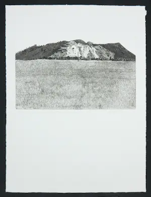 Jan Hein van Rooy - Ets, Borinage, de adelaar van Frameries kopen? Bied vanaf 1!