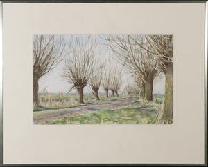 Niet of onleesbaar gesigneerd - Aquarel, Knotwilgen - Ingelijst kopen? Bied vanaf 10!