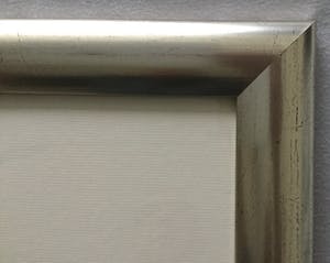 Corneille - Oiseau coloré kopen? Bied vanaf 125!