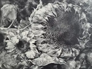 Aart van Dobbenburgh - "Zonnebloemen". kaufen? Bieten Sie von 75!
