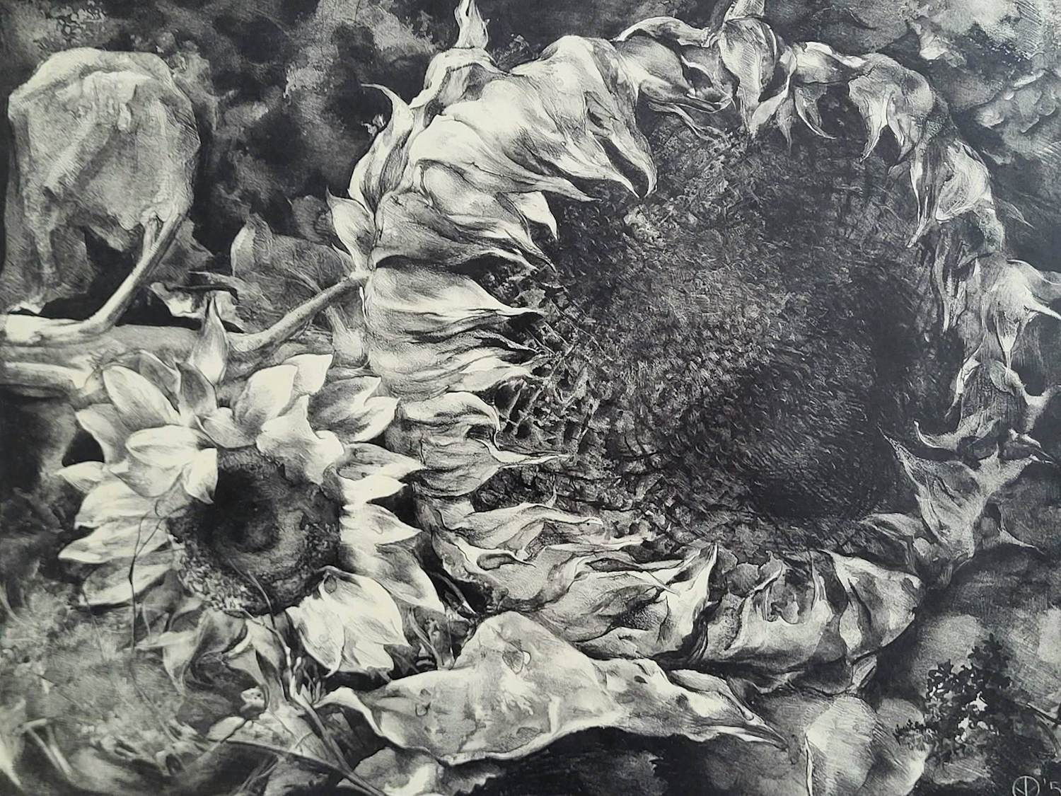 Aart van Dobbenburgh - "Zonnebloemen". kopen? Bied vanaf 75!