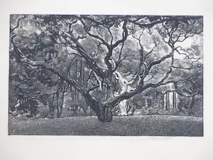 Emile Dehe - Bosgezicht in de duinen - Houtsnede kopen? Bied vanaf 42!
