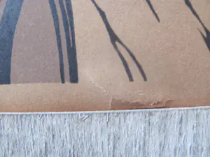 Jan Pzn Franken - Winter kopen? Bied vanaf 20!