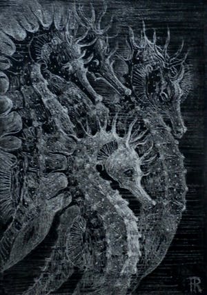 Ina Rahusen - Litho: Zeepaardjes kopen? Bied vanaf 35!