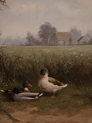 Ron Meilof - Eendjes kopen? Bied vanaf 695!