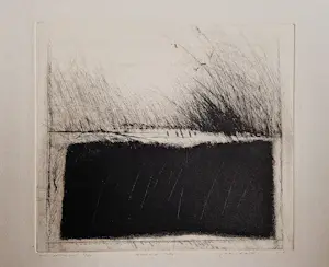 Ko Oosterkerk - een fraaie droge naald Ets "wuivend riet" beperkte oplage (84) kopen? Bied vanaf 45!