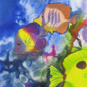 Hettie Saaiman - Tropische Vissen kopen? Bied vanaf 120!