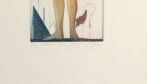 Dan Erceanu - Fortuna kopen? Bied vanaf 39!