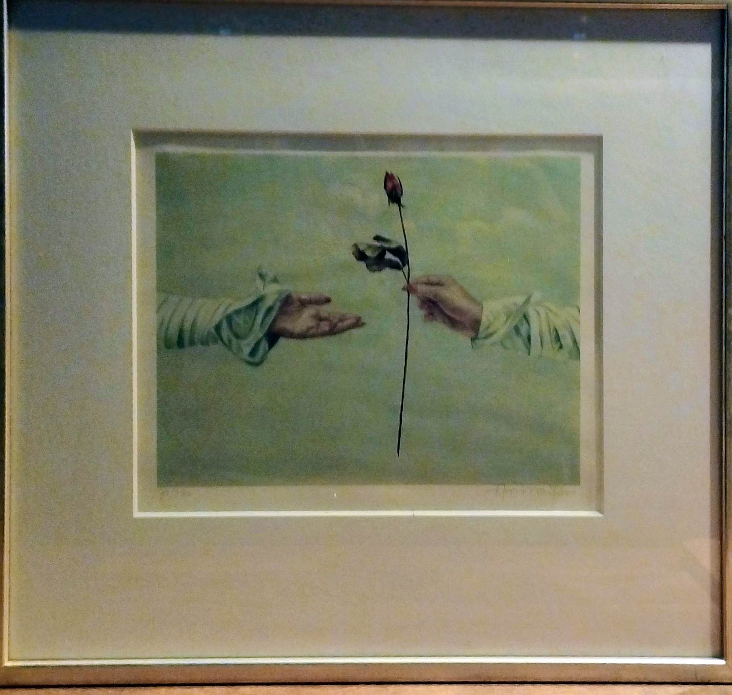 Ans Markus - verband kopen? Bied vanaf 90!