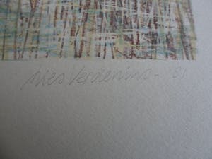 Lies Verdenius - Litho, Titel, "Neergestorte vlieger". kopen? Bied vanaf 25!