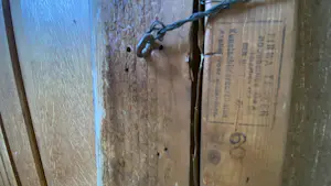 Pol Dom - Brug te Delft kopen? Bied vanaf 200!