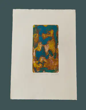 Gertie Mesker - 1971 handgekleurde reliëfdruk "terre Chaude" potloodgesigneerd bep. oplage (50) kaufen? Bieten Sie von 38!