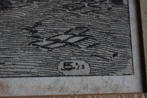 Jan Sirks - Paard op de kade kopen? Bied vanaf 40!