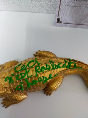 Hannes D'Haese - Ceci n'est pas Lacoste kopen? Bied vanaf 100!