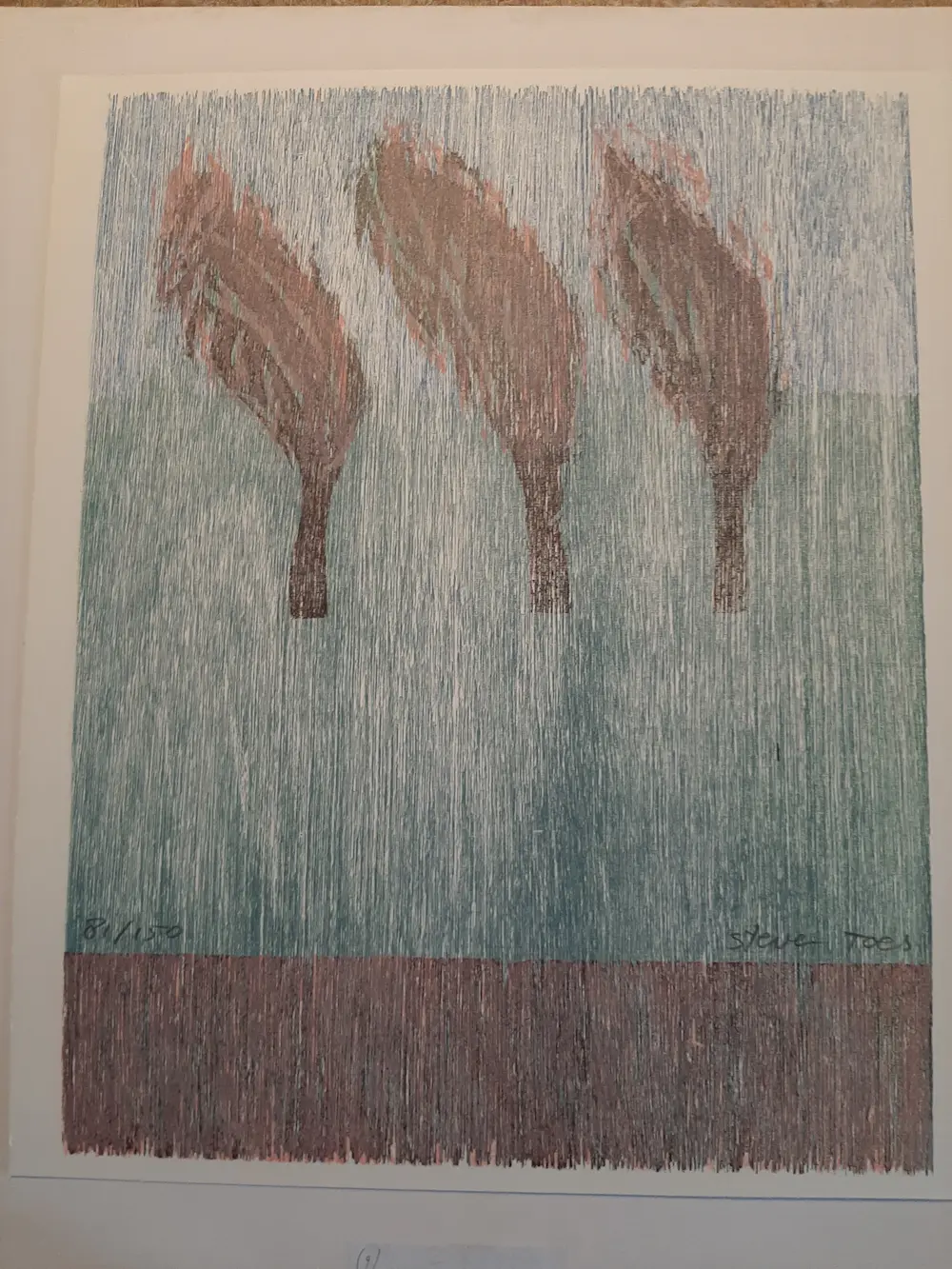 Steven Toes (1963)