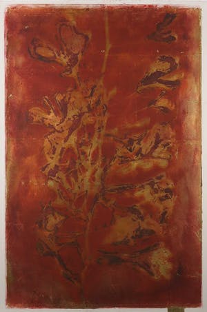 Bea Verheul - Gemengde druktechniek op papier, Ginghobiloba - Ingelijst (Groot) kopen? Bied vanaf 1!