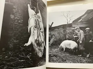 Buy Martien Coppens - 2 titels met (Landschaps) fotografie? Bid from 55!