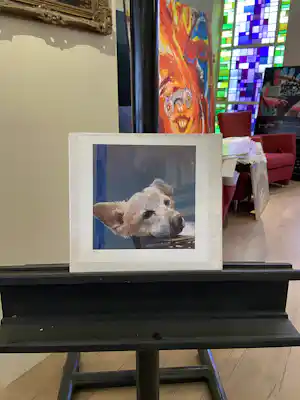 Pieter Pander - Portret Robby (giclee) verkauft für € 1!