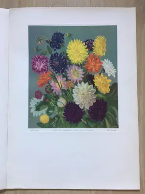 Eppo Doeve - Flower Prints from the Whitbread Calendar 1955 kopen? Bied vanaf 30!