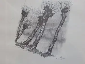 Anton Pieck - Mooie ingelijste zeefdruk Anton Pieck kopen? Bied vanaf 30!