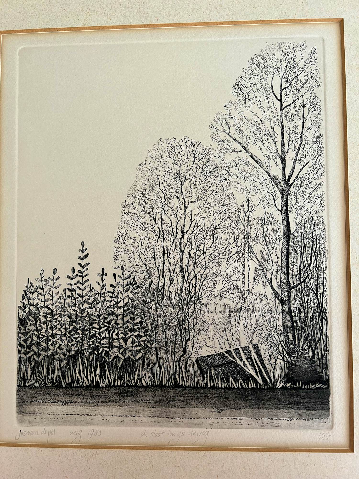 Jos van de Pol - de sloot langs de weg kopen? Bied vanaf 50!